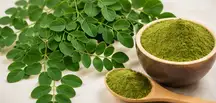 Maqui Berry Ingredient
