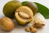 Cacao Ingredient